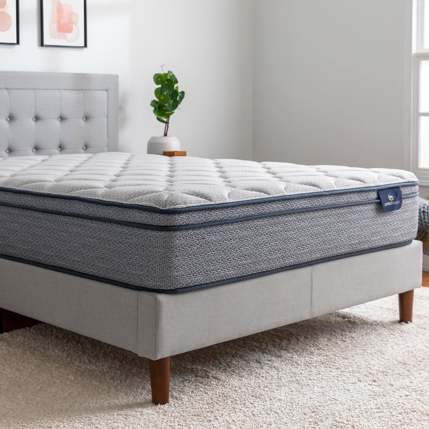 The Serta Perfect Sleeper Charlotte 10.5 inch Plush Euro Top mattress in a bedroom with a plant next to the bed