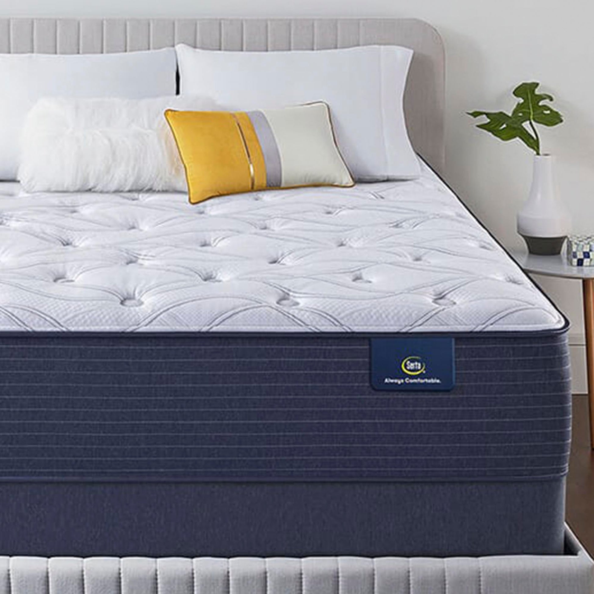 The Serta Classic Elite Plush 14" in a bedroom with a table and plant next to the bed