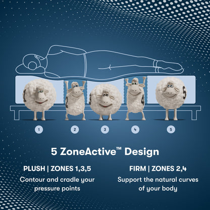 Perfect Sleeper Pro Geneva Firm Mattress Component 5 Zone chart || Level: Level 2 || Feel: Firm
