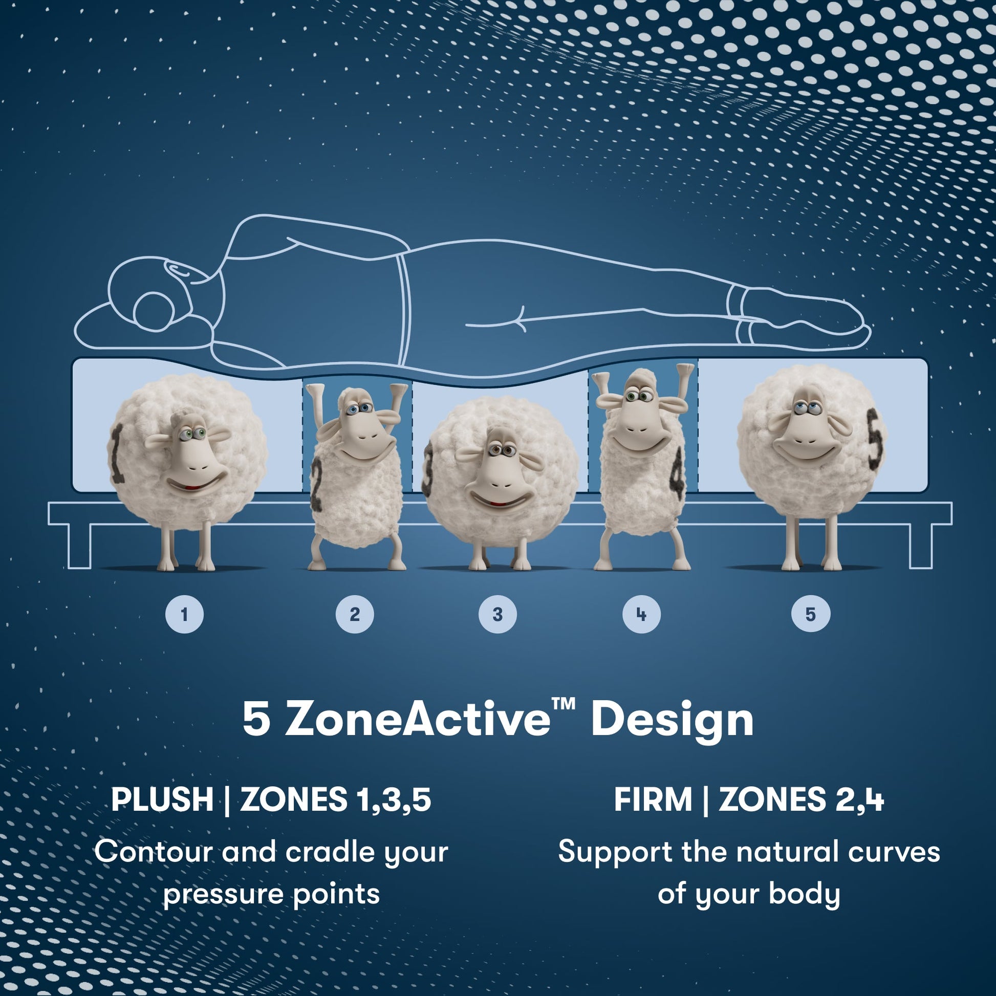 Perfect Sleeper Pro New Paris Medium Mattress Component 5 Zone chart || Level: Level 3 || Feel: Medium
