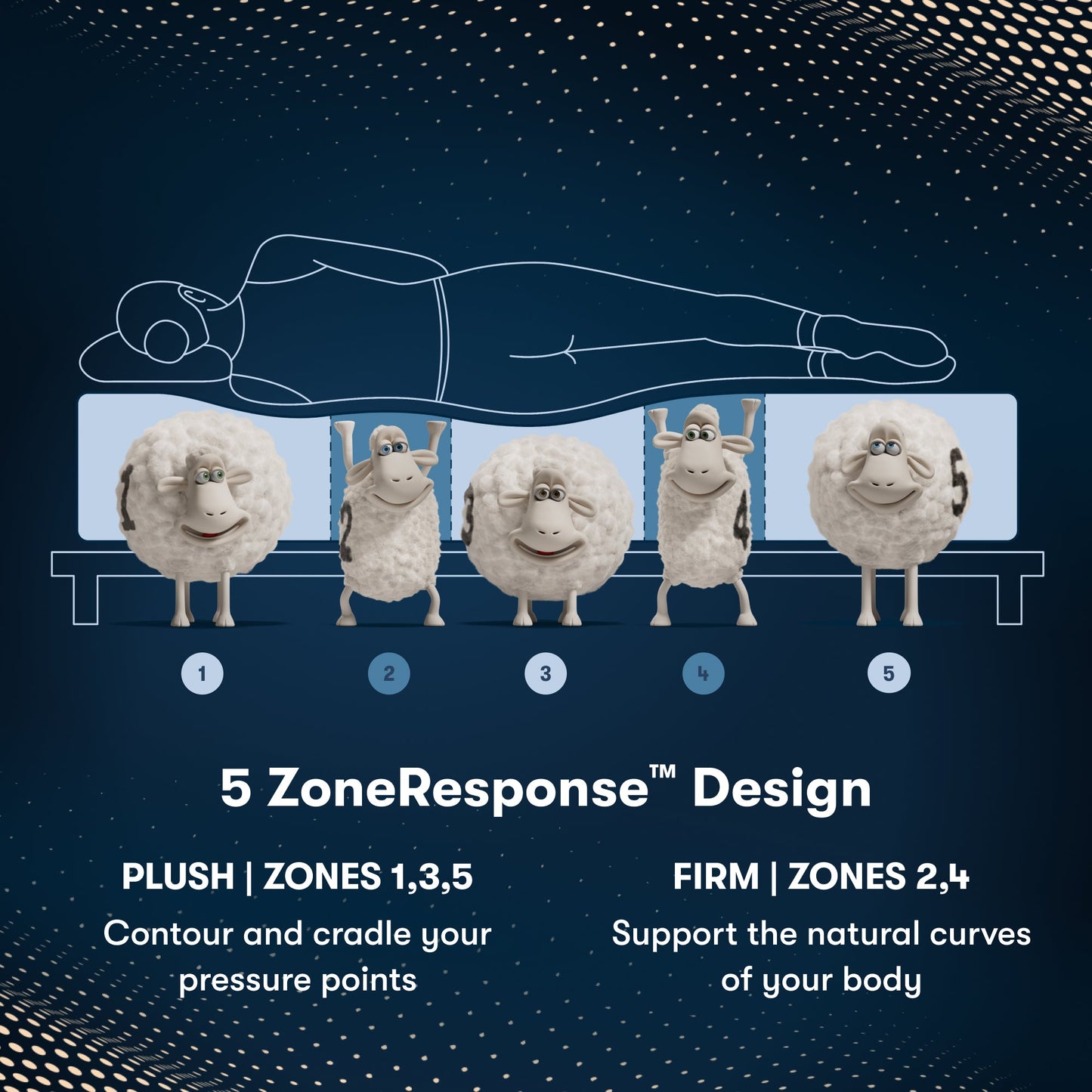 iComfortPro Canterbury Plush Mattress Component 5 Zone chart || feel: Plush || level: Level 3