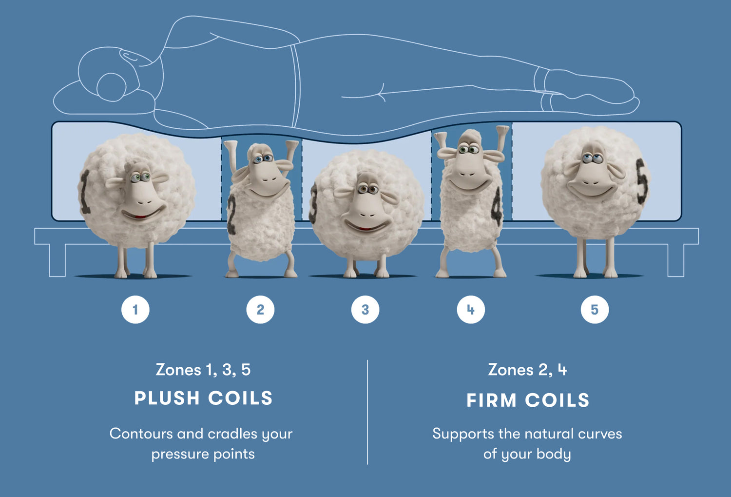 Illustration of a person lying on a mattress with five support zones, represented by Serta sheep. Zones 1, 3, and 5 feature plush coils for pressure relief, while zones 2 and 4 have firm coils for body support.